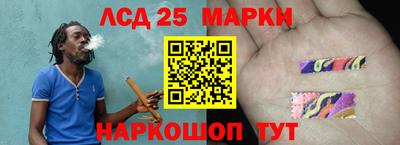 гидра Новозыбков