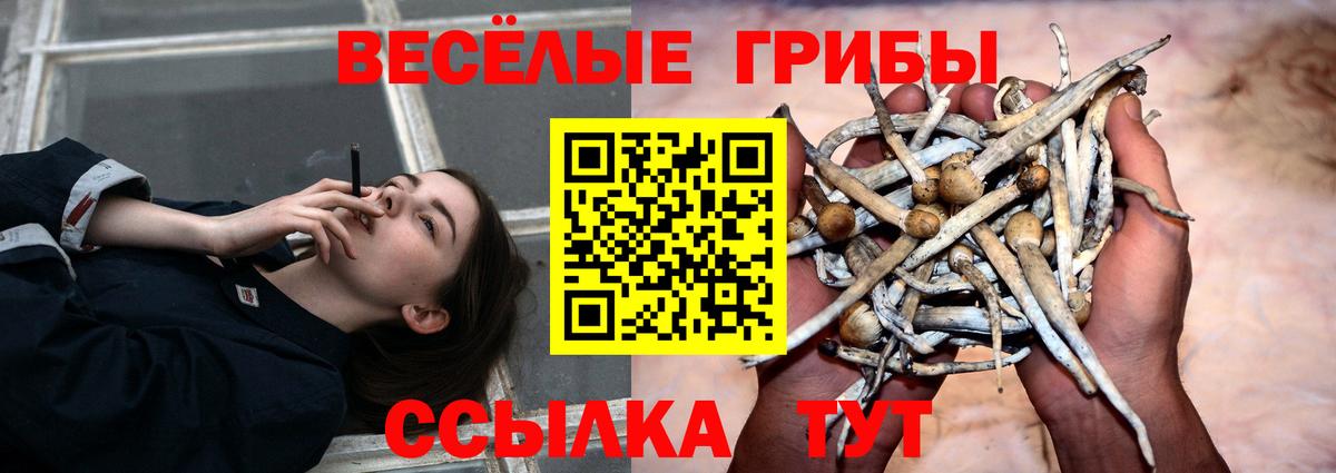 Урай  Галлюциногенные грибы мицелий  Вход с VPN 