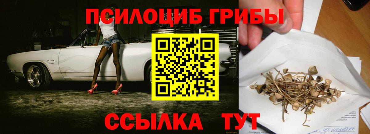 Псилоцибиновые грибы GOLDEN TEACHER Урай